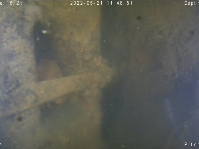 Marine Growth in einem Deichkreuzungsbauwerk