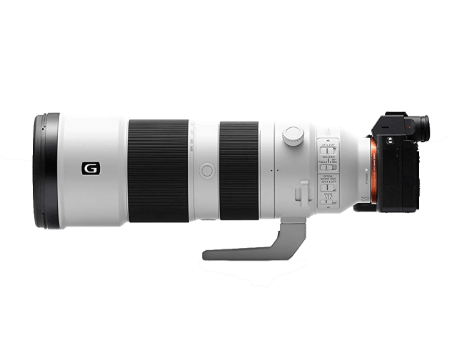 Sony Alpha Kamera mit Teleobjektiv