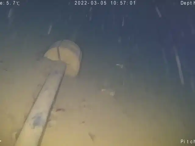 Inspektion unter Wasser Seekabel